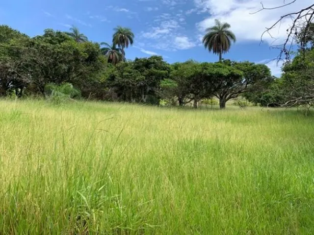 Imagem 7: Fazenda de 122 Ha, Nascente de Água Cristalina (Temos Varias Opções). Oportunidade Na