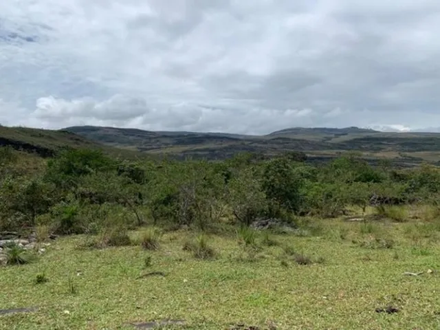 Imagem 10: Fazenda de 122 Ha, Nascente de Água Cristalina (Temos Varias Opções). Oportunidade Na