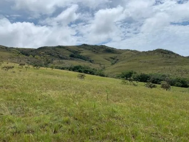 Imagem 6: Fazenda de 122 Ha, Nascente de Água Cristalina (Temos Varias Opções). Oportunidade Na