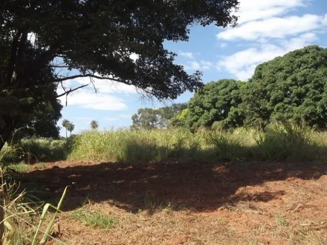 Imagem 1: Grande Oportunidade Terreno de 4 Ha, com Lagoa, Jaboticatubas (Temos Varias Opções)