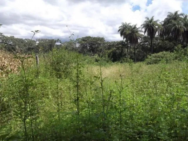 Imagem 5: Linda Chácara de 1.500 M², Serra do Cipó (Temos Varias Opções