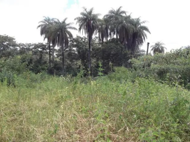 Imagem 8: Linda Chácara de 1.500 M², Serra do Cipó (Temos Varias Opções