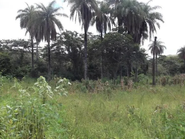 Imagem 2: Linda Chácara de 1.500 M², Serra do Cipó (Temos Varias Opções