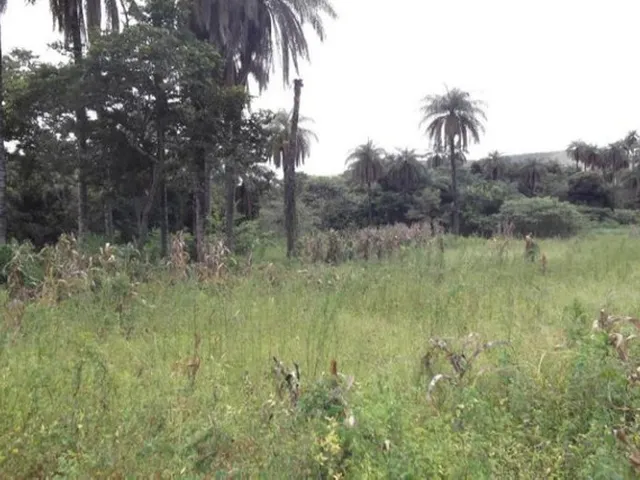 Imagem 3: Linda Chácara de 1.500 M², Serra do Cipó (Temos Varias Opções