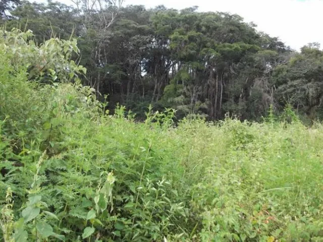 Imagem 6: Linda Chácara de 1.500 M², Serra do Cipó (Temos Varias Opções