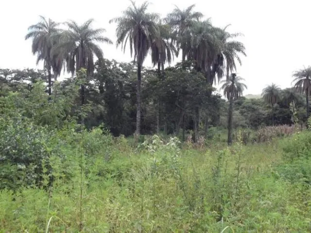 Imagem 10: Linda Chácara de 1.500 M², Serra do Cipó (Temos Varias Opções