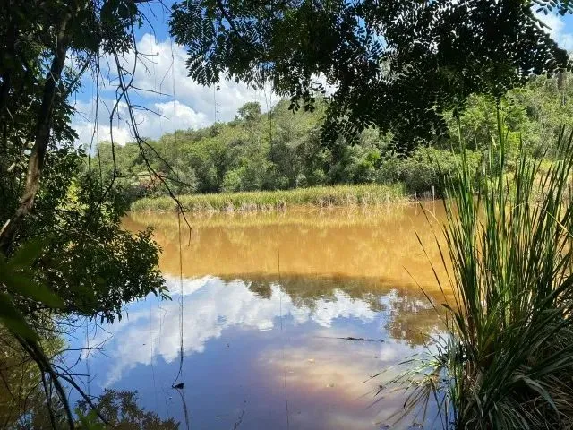 Imagem 5: Sitio 35.000M² com Casa, Espaço Gourmet, Agua Correntes nos Fundos, Poço de Peixes