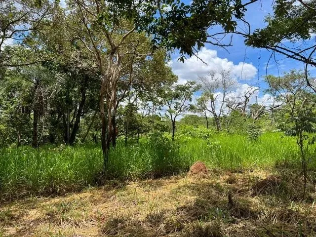 Imagem 6: Sitio 35.000M² com Casa, Espaço Gourmet, Agua Correntes nos Fundos, Poço de Peixes