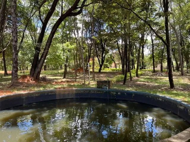 Imagem 9: Sitio 35.000M² com Casa, Espaço Gourmet, Agua Correntes nos Fundos, Poço de Peixes