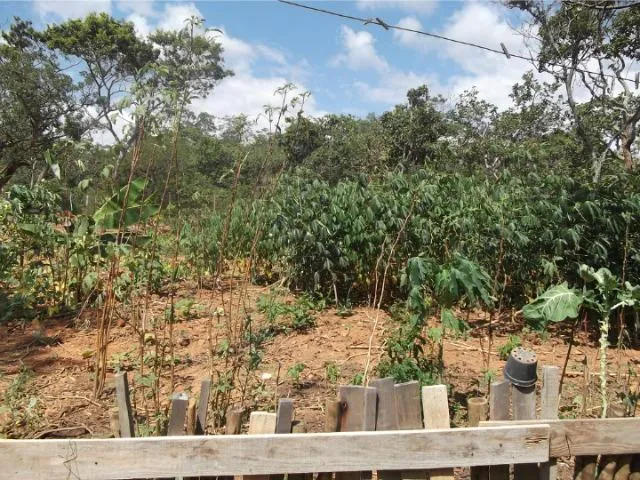 Imagem: Sitio de 1260Metros em Vargem Grande Perto