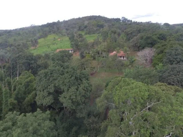 Imagem 4: Fazendinha de 2.5 Hectares, Jaboticatubas (Temos Varias Opções)