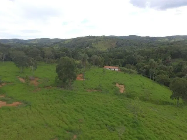 Imagem 6: Fazendinha de 2.5 Hectares, Jaboticatubas (Temos Varias Opções)