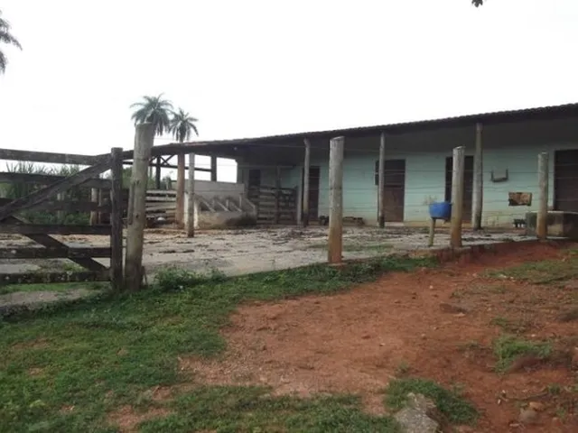 Imagem 7: Fazendinha de 2.5 Hectares, Jaboticatubas (Temos Varias Opções)