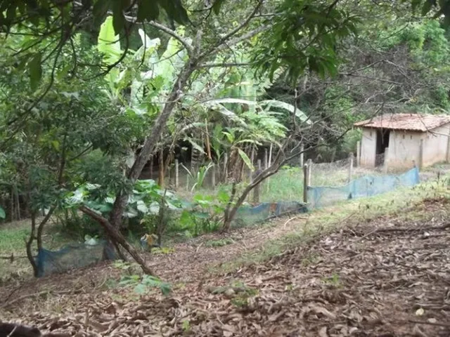 Imagem 3: Fazendinha de 2.5 Hectares, Jaboticatubas (Temos Varias Opções)