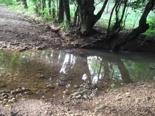 Imagem 8: Fazendinha de 2.5 Hectares, Jaboticatubas (Temos Varias Opções)