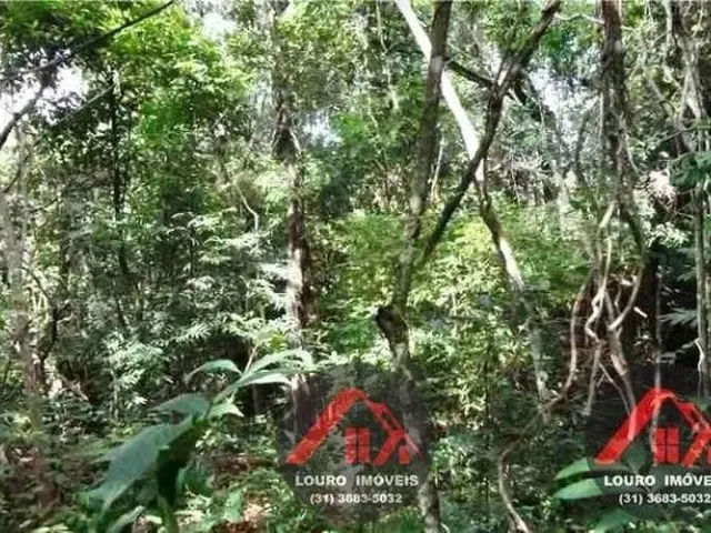 Imagem 8: Sitio 5.000M² a 4Km do Asfalto Jaboticatubas(Temos Varias Opções)