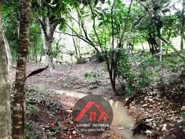 Imagem 10: Sitio 5.000M² a 4Km do Asfalto Jaboticatubas(Temos Varias Opções)