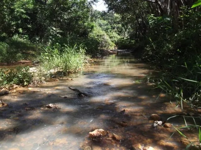 Imagem 4: Lindo Sitio com Área de 10.000 M², Jaboticatubas (Temos Varias Opções)