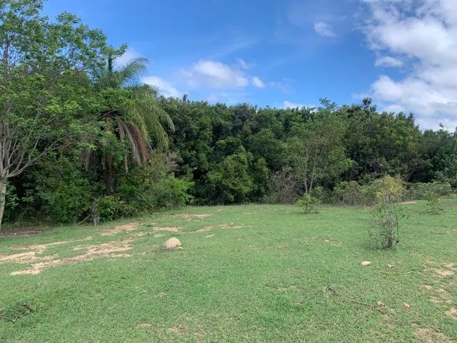 Imagem 1: Chácaras de 20.000M² com Nascente, Jaboticatubas(Temos Varias Opções)