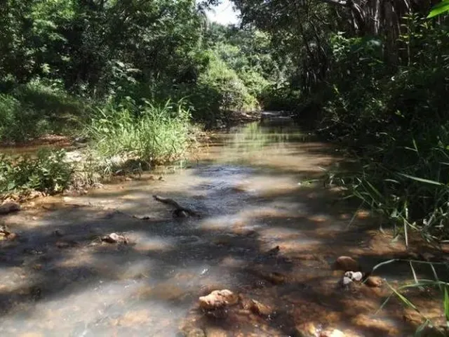 Imagem 10: Lindo Sitio com Área de 10.000 M², Jaboticatubas (Temos Várias Opções)