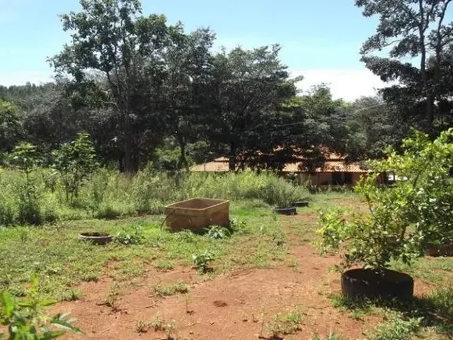 Imagem 6: Lindo Sitio com Área de 10.000 M², Jaboticatubas (Temos Várias Opções)