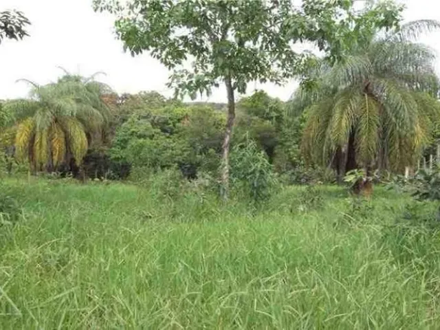 Imagem: Chácara de Ou - 1.100M² Riacho nos Fundos