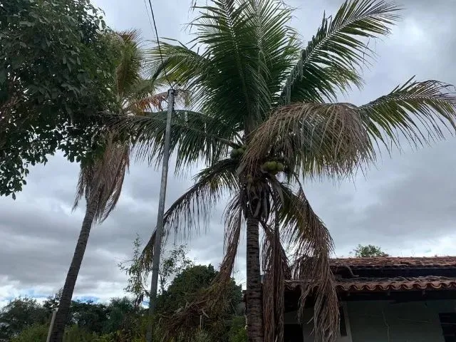 Imagem 4: Sitio de 600M² com Casa, Próximo a Lagoa Santa, Temos Varias Opções