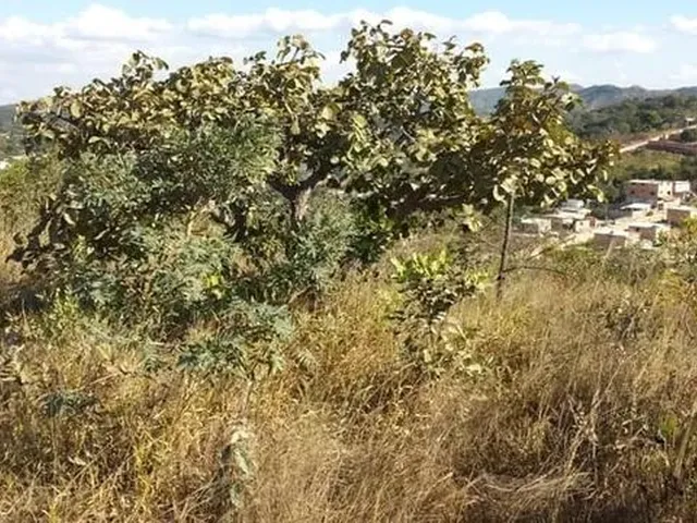 Imagem: Lote À Venda, 360M² no Bairro Vianinha