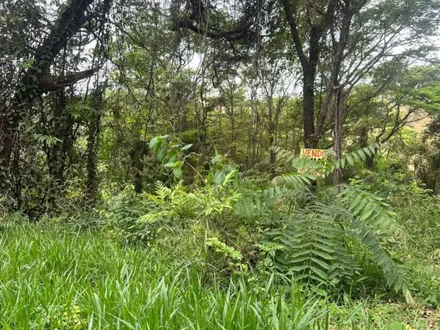 Imagem 4: Chácara 3 Mil Mts em Condomínio em Igarapé