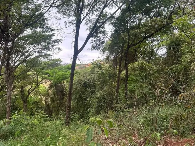 Imagem 3: Chácara 3 Mil Mts em Condomínio em Igarapé