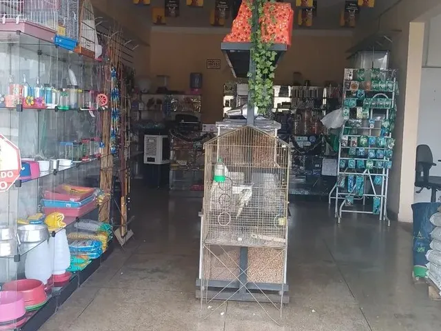 Imagem: Pet Shop