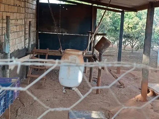 Imagem 7: Vendo Chácara 7, 5Mil M² Bonfinópolis