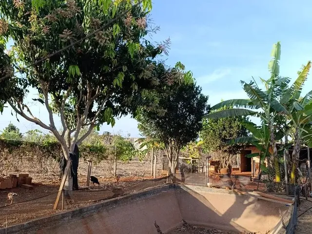 Imagem 8: Vendo Chácara 7, 5Mil M² Bonfinópolis
