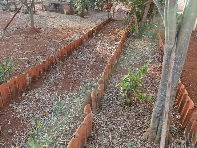 Imagem 15: Vendo Chácara 7, 5Mil M² Bonfinópolis