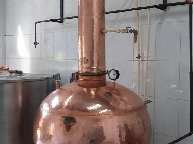 Imagem 5: Industria de Cachaça Cachaçaria com Canavial em Produção Aparecida de Goiânia Pronta