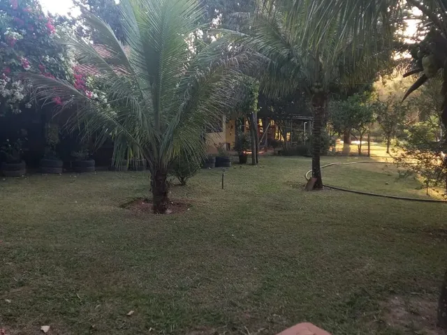 Imagem 3: Industria de Cachaça Cachaçaria com Canavial em Produção Aparecida de Goiânia Pronta