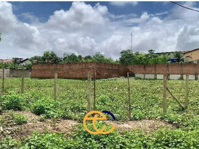 Imagem: Lotes para Alugar - Parque Pindorama