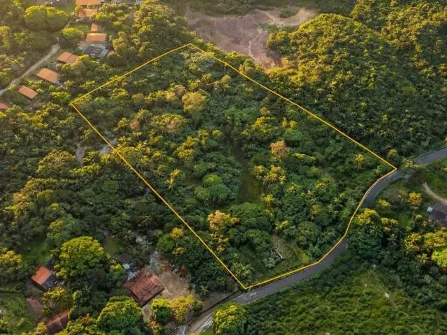 Imagem: Terreno do Timbuba Paço do Lumiar 17Mil