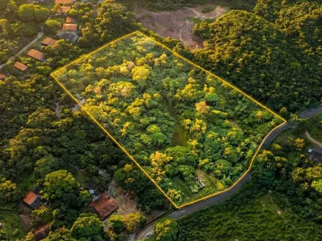 Imagem 3: Terreno do Timbuba Paço do Lumiar 17Mil M²