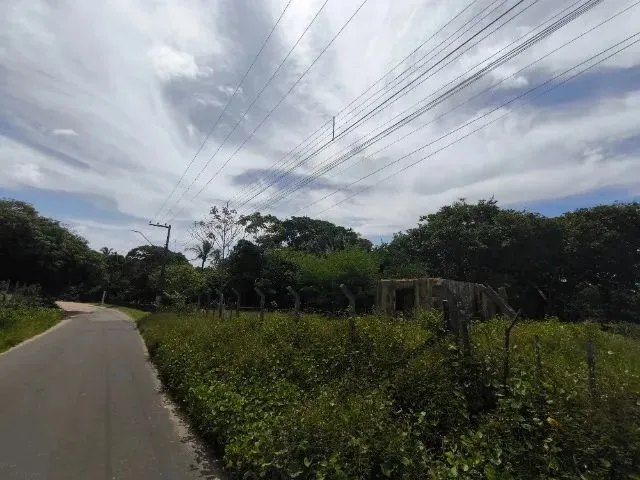 Imagem 2: Terreno do Timbuba Paço do Lumiar 17Mil M²