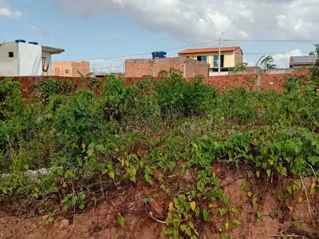 Imagem 1: Terreno no Pindorama