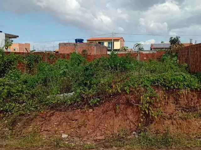Imagem 2: Terreno no Pindorama
