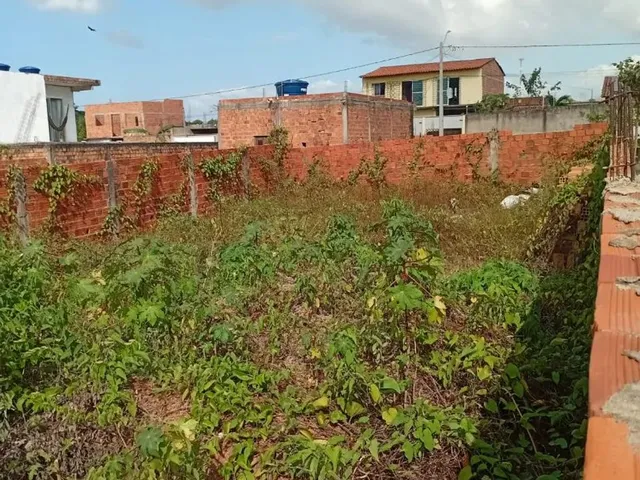 Imagem 3: Terreno no Pindorama