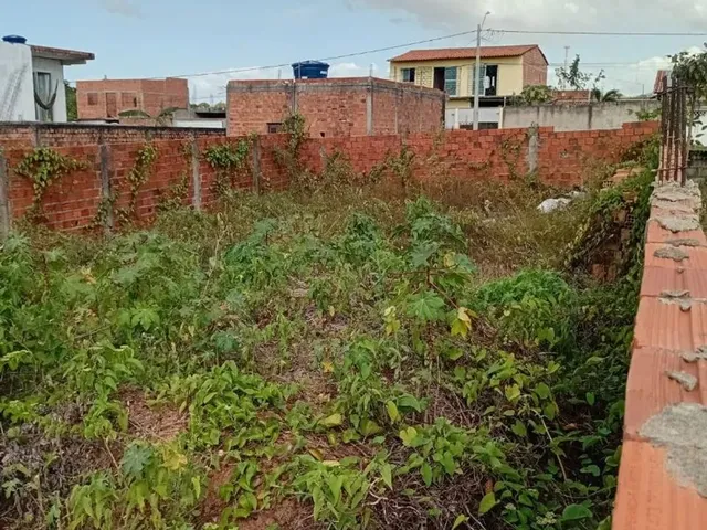 Imagem 4: Terreno no Pindorama