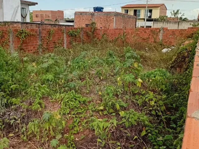 Imagem 5: Terreno no Pindorama