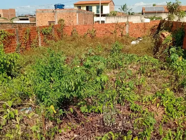 Imagem 6: Terreno no Pindorama