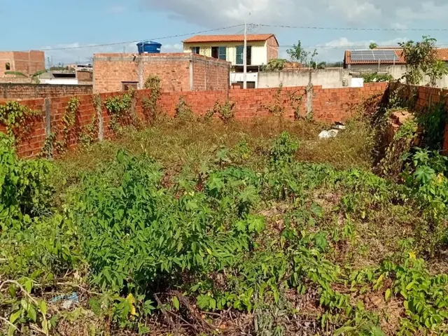 Imagem 7: Terreno no Pindorama