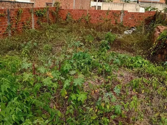 Imagem 8: Terreno no Pindorama