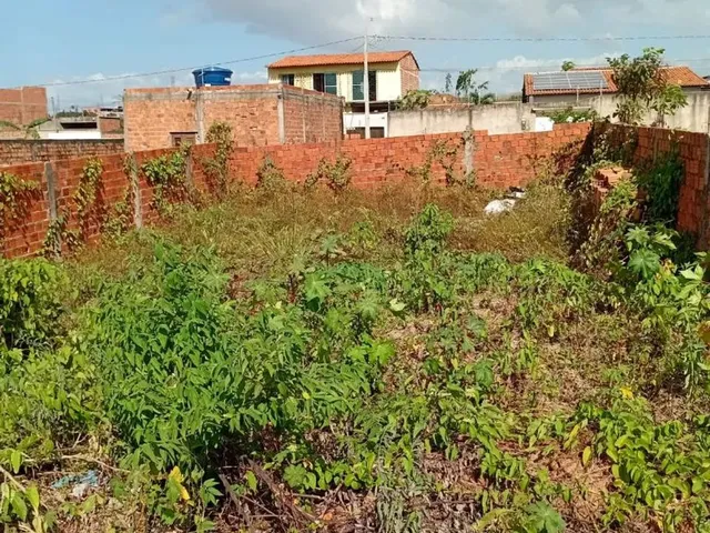 Imagem 9: Terreno no Pindorama