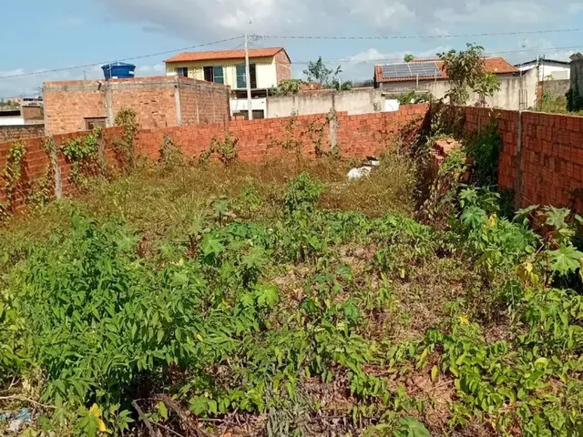 Imagem 10: Terreno no Pindorama